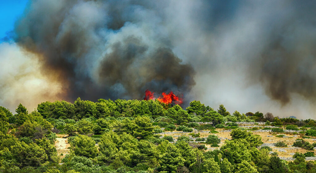 e6ab6707965f1018c13c5fe5e63b727038a60258